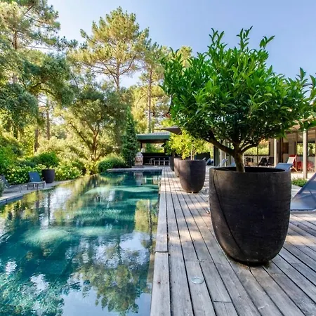 Amanjango Seignosse-hossegor