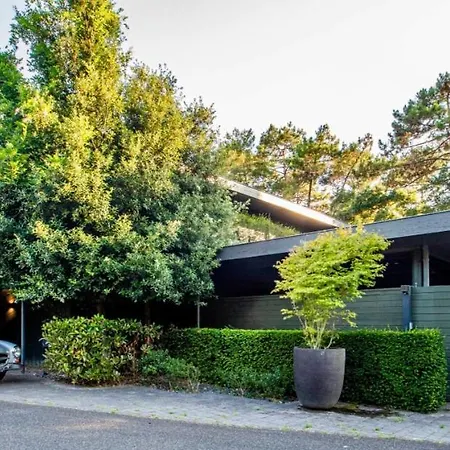 Amanjango Seignosse-hossegor Seignosse