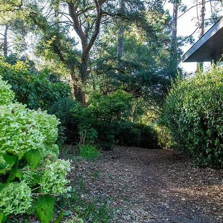 Hotel Amanjango Seignosse-hossegor