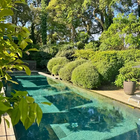 Amanjango Seignosse-hossegor Seignosse