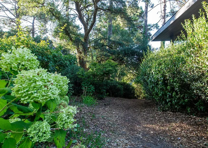 Hotell Amanjango Seignosse-hossegor